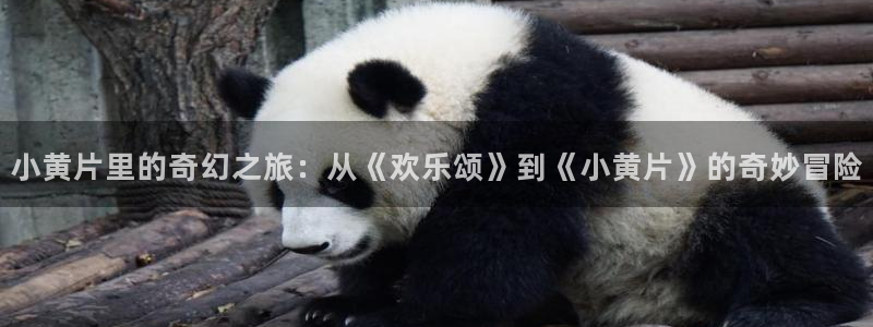 雪豹咬尾巴漫画下拉式免费版：小黄片里的奇幻之旅：从《欢乐颂》到《小黄片》的奇妙冒险